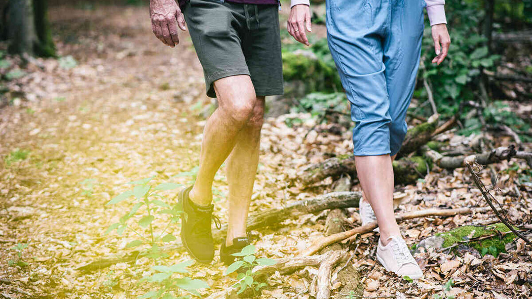 Zwei Personen gehen gemeinsam durch den Wald